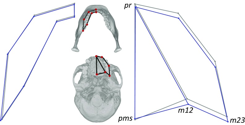 Fig. 5.