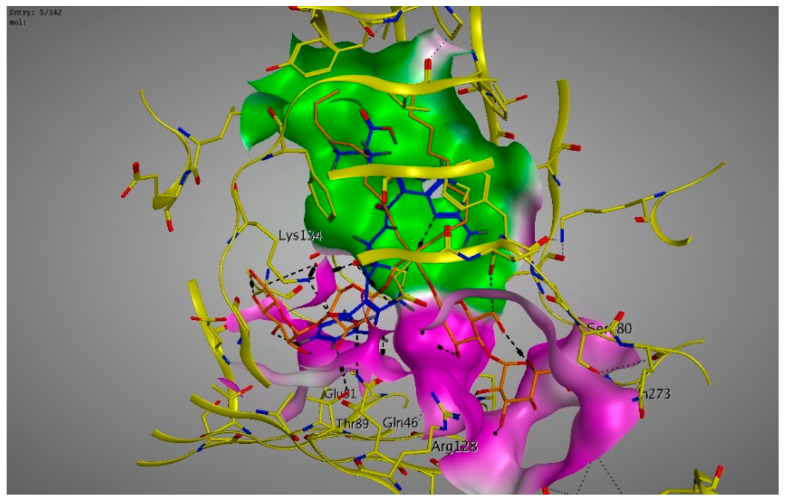 Figure 4