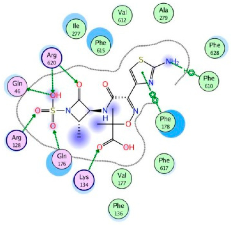 Figure 12