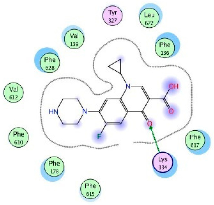 Figure 11