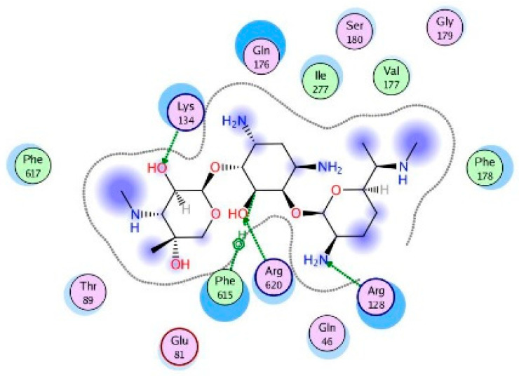 Figure 10