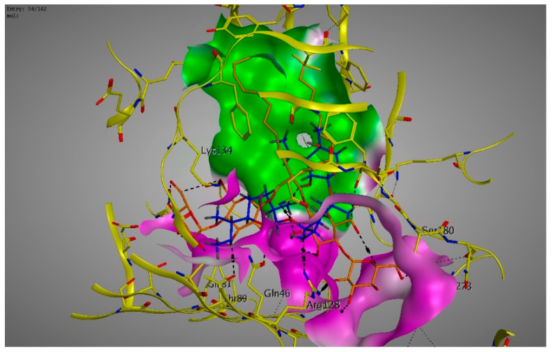 Figure 5