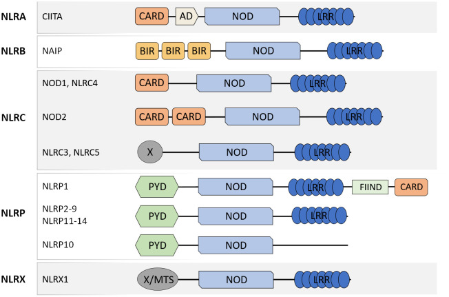 Figure 1