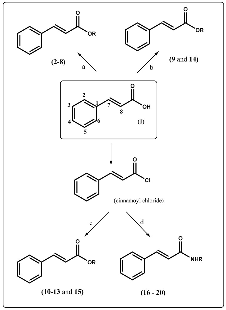 Scheme 1