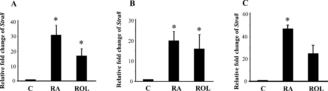 FIG. 6