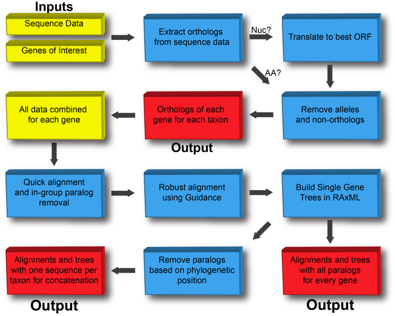 Flowchart showing major steps in the pipeline