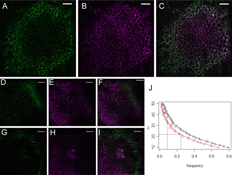 FIG 3