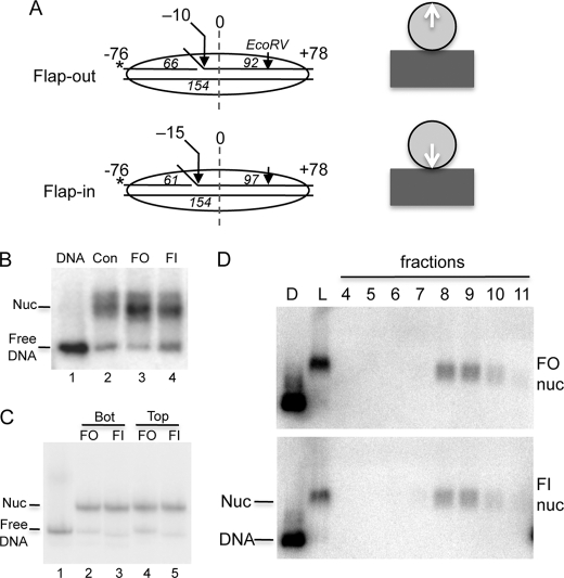 FIGURE 1.