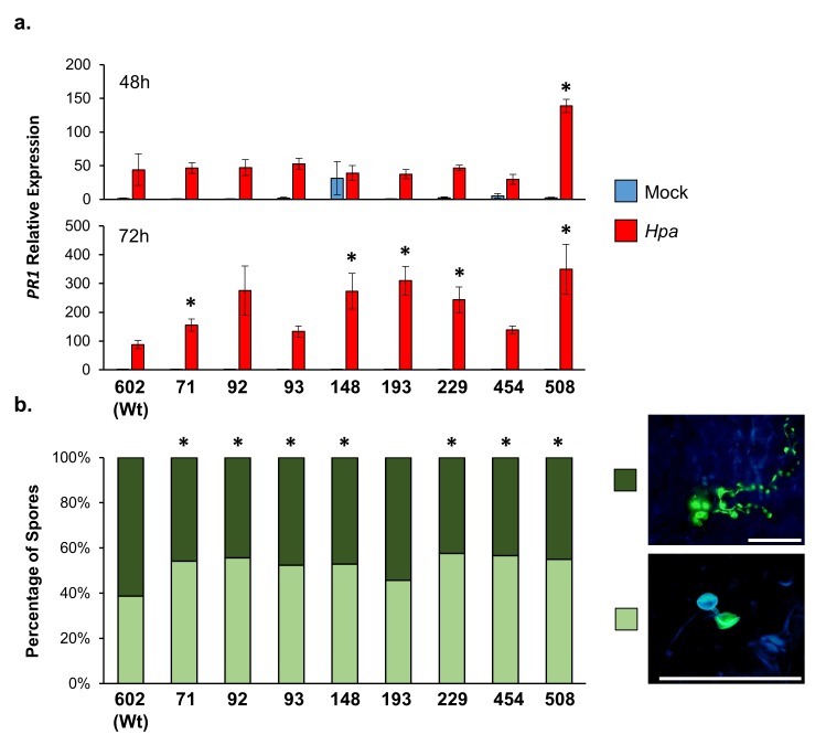 Figure 1—figure supplement 4.