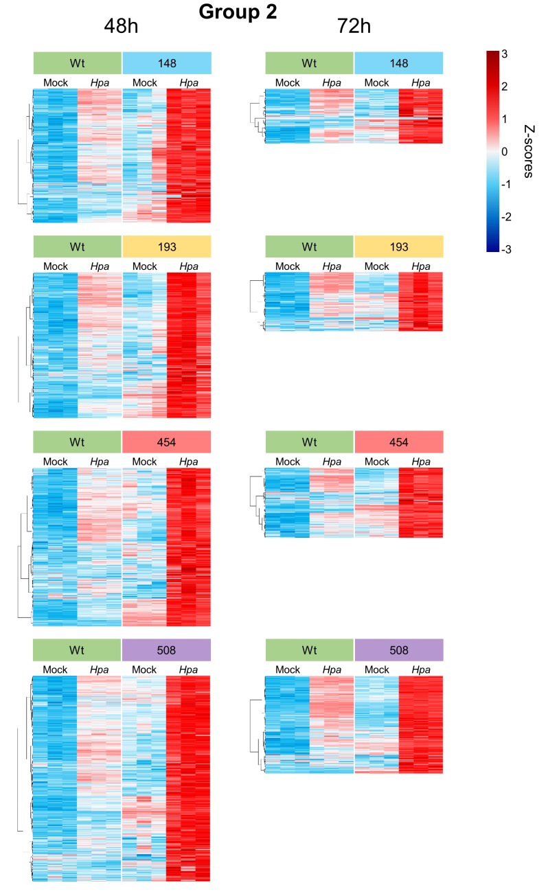 Figure 2—figure supplement 4.