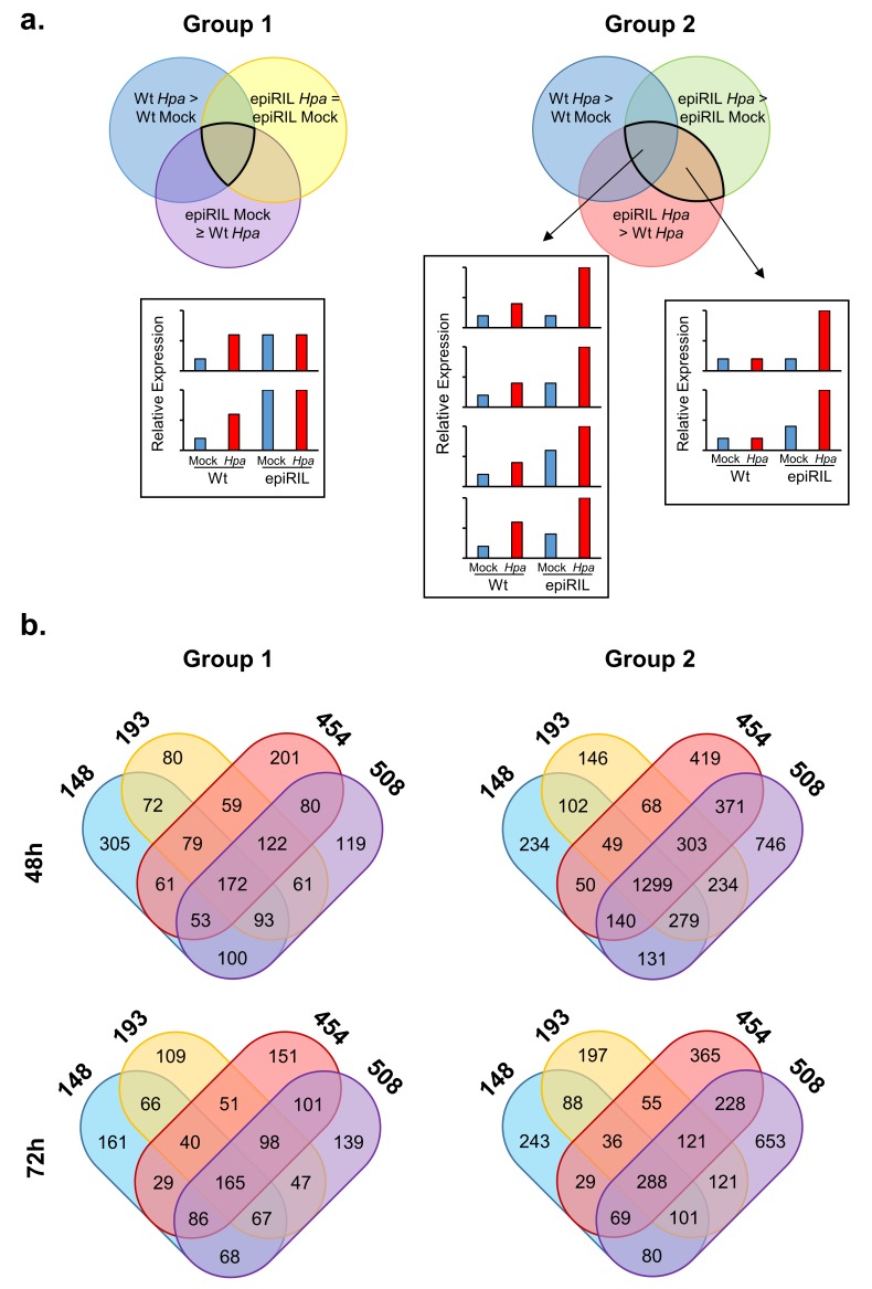 Figure 2—figure supplement 2.