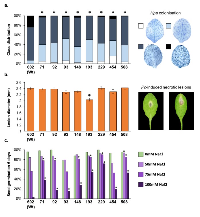 Figure 1—figure supplement 3.