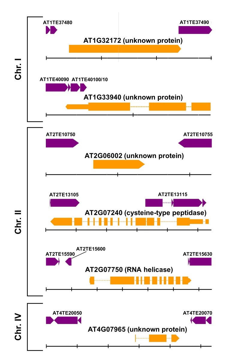 Figure 3—figure supplement 4.