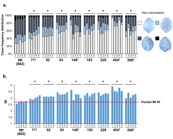 Figure 1—figure supplement 5.