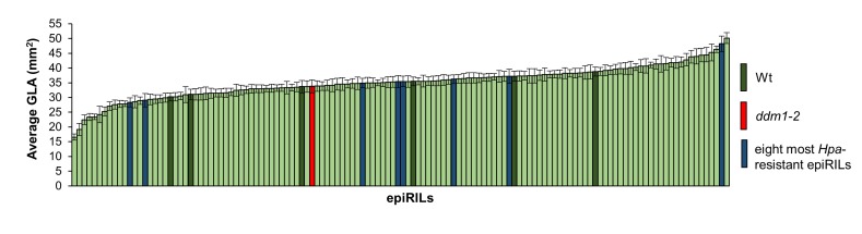 Figure 1—figure supplement 2.