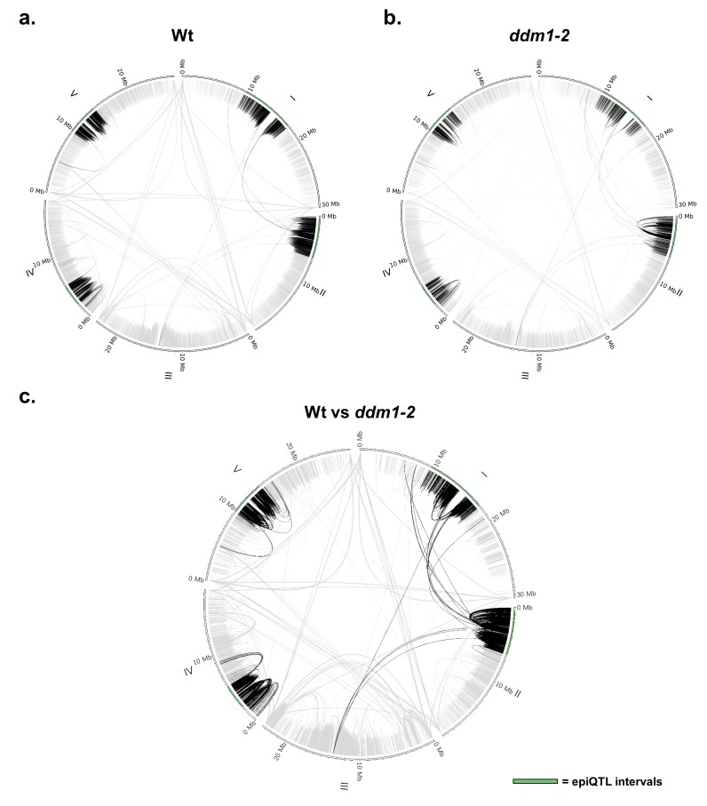 Figure 3—figure supplement 5.