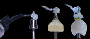 Fig. 10