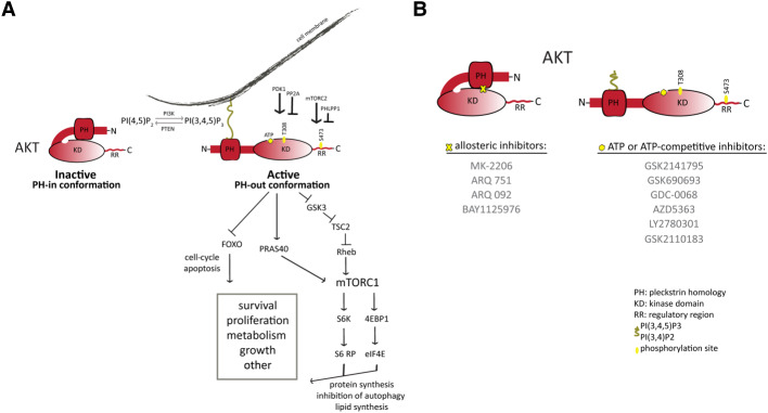 Figure 1.