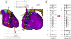 Fig. 10