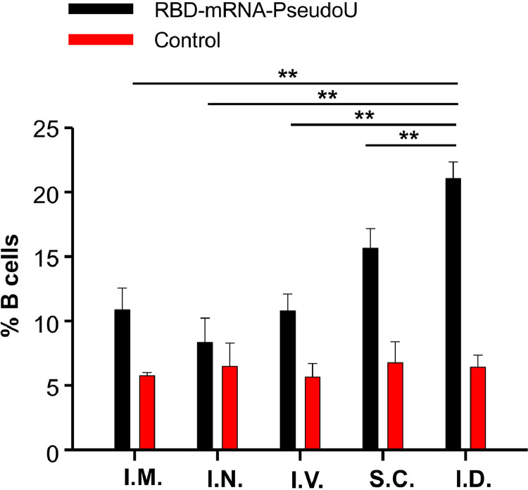 Fig 5