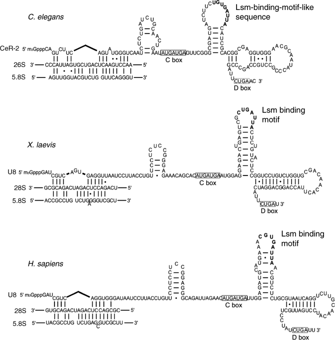 Figure 6.