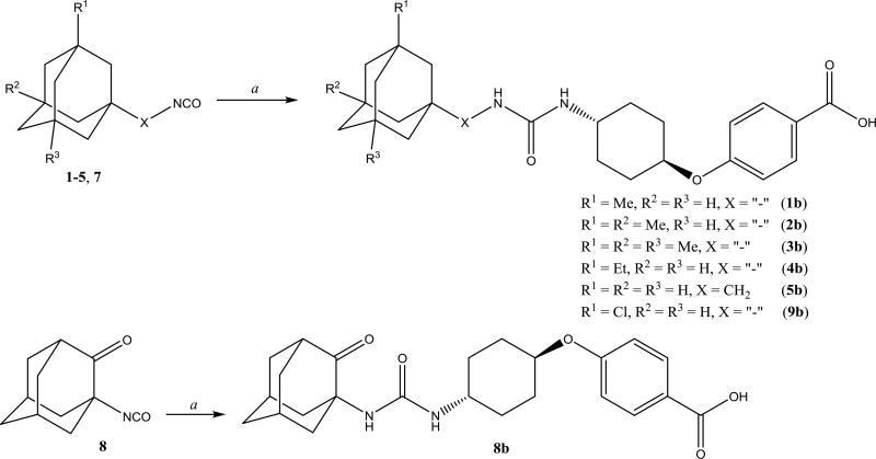 Scheme 3