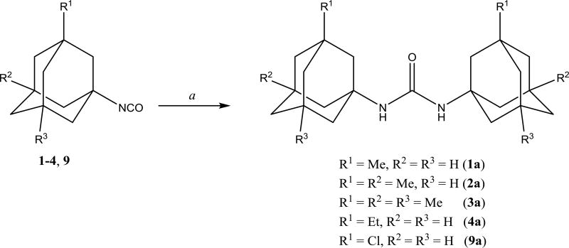 Scheme 2