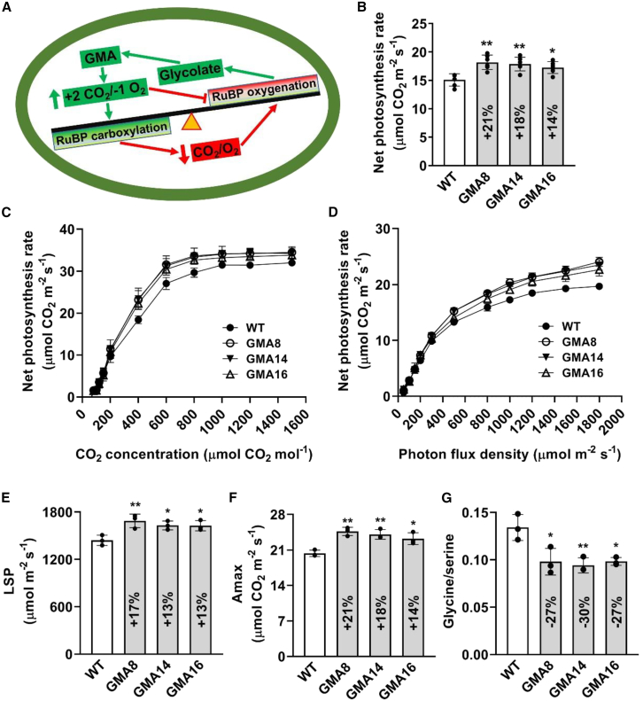 Figure 3