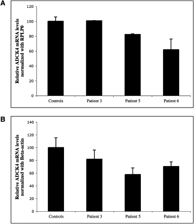 Figure 6