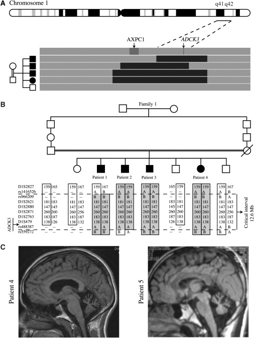 Figure 1