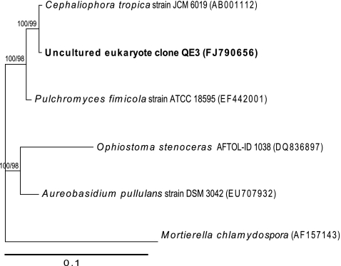 Figure 7