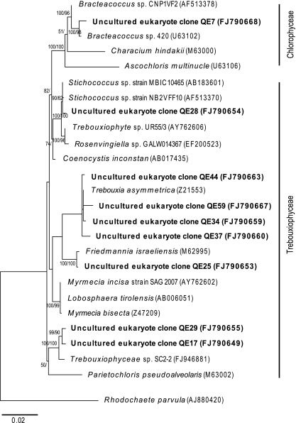 Figure 6