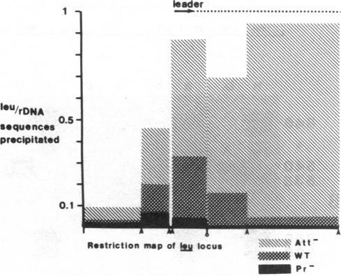 graphic file with name pnas00615-0044-c.jpg