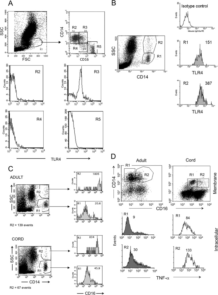 Fig 4