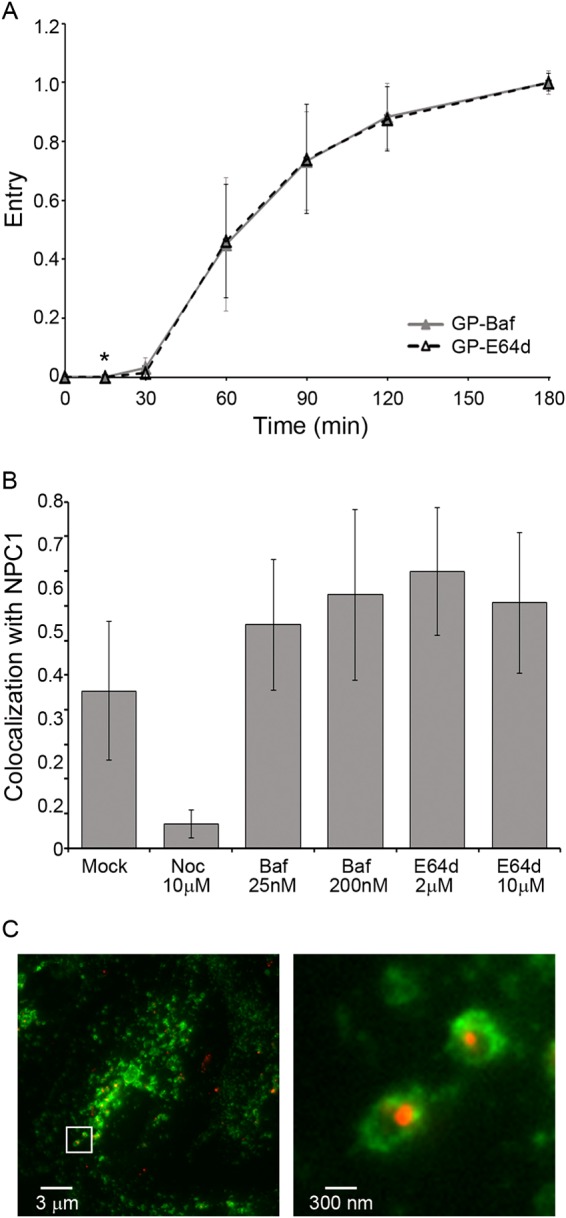 FIG 8