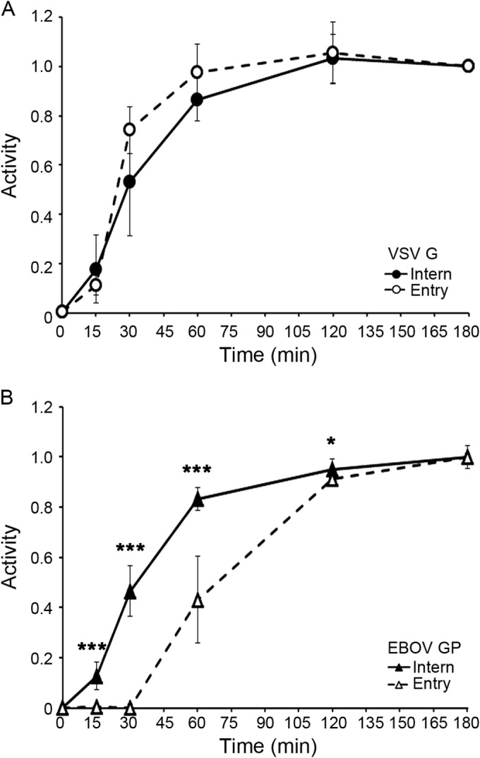 FIG 1