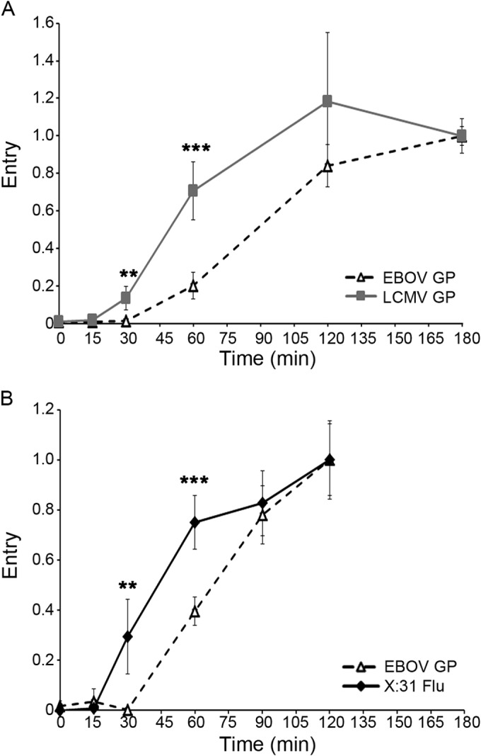 FIG 2