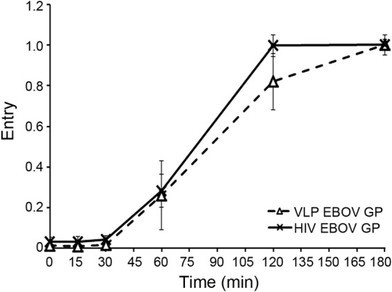 FIG 3