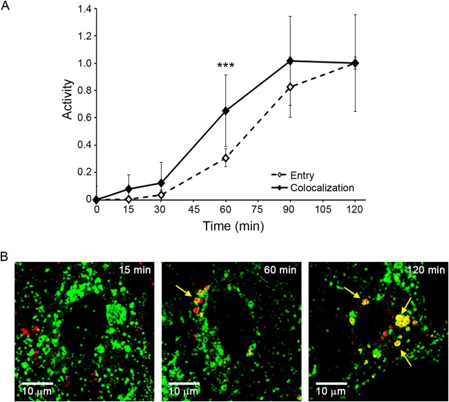 FIG 10