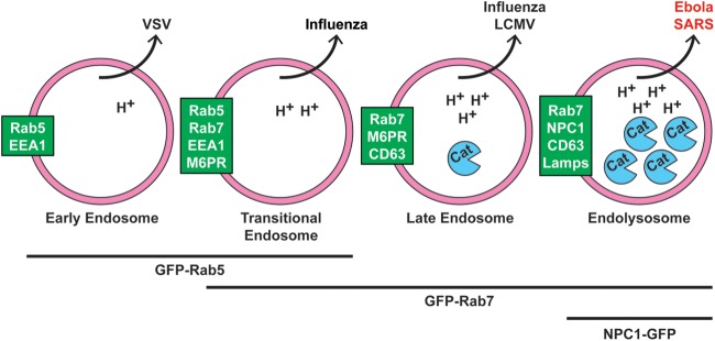 FIG 12