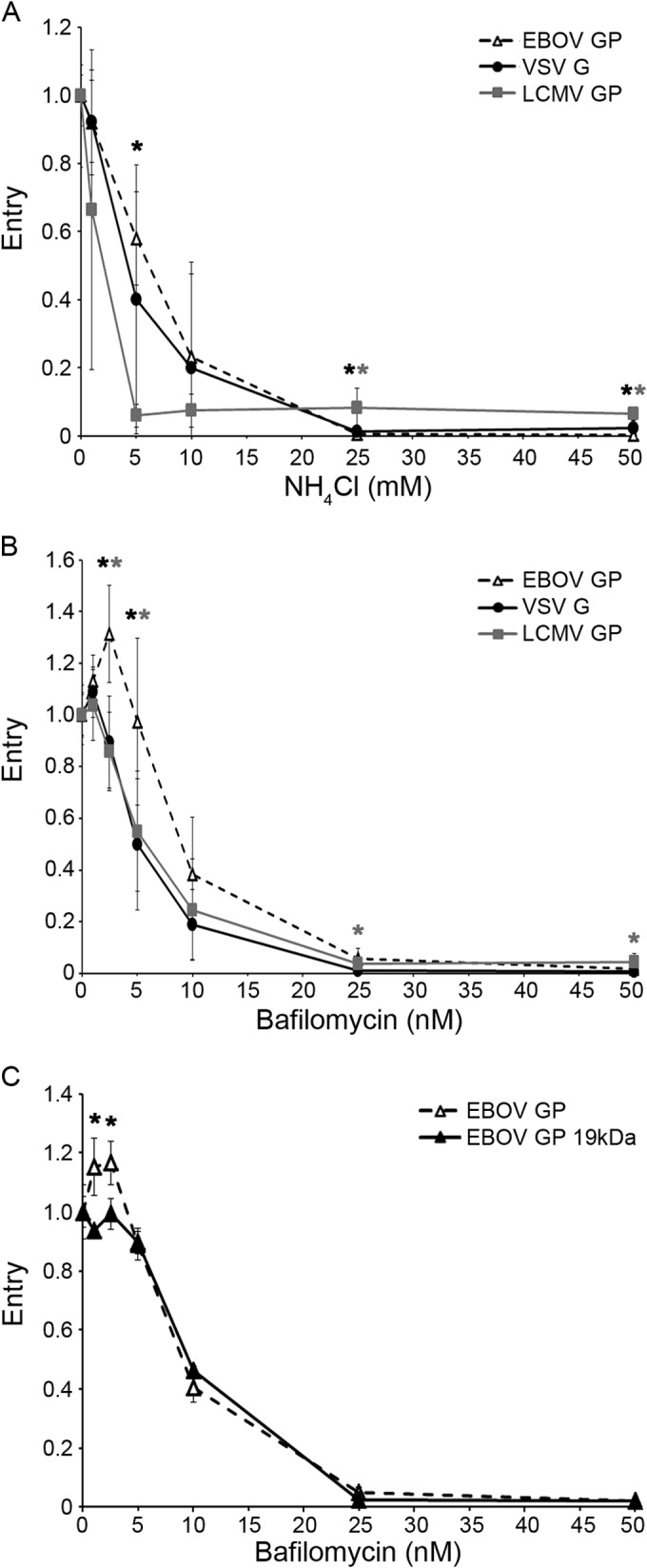 FIG 5