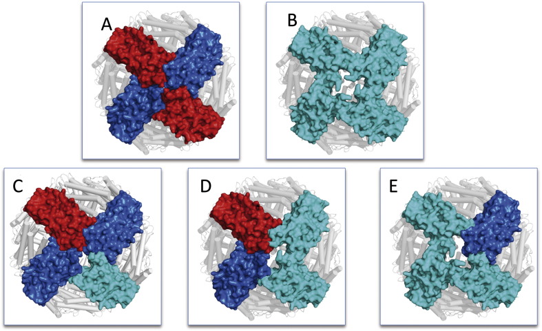 Fig. 4