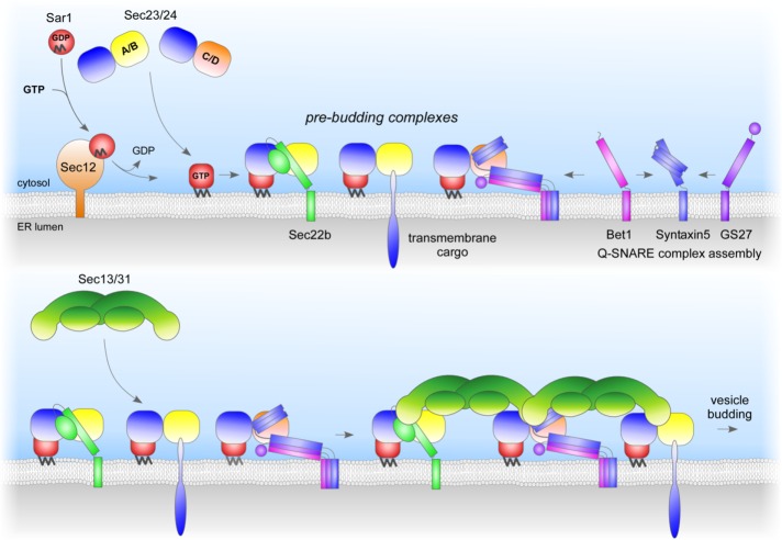 FIGURE 6: