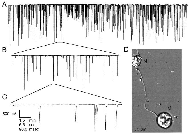 Fig. 1.