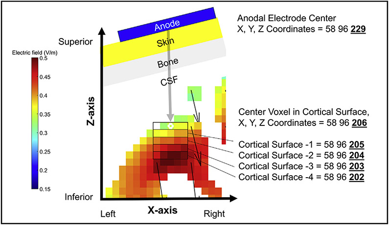 Fig. 3.