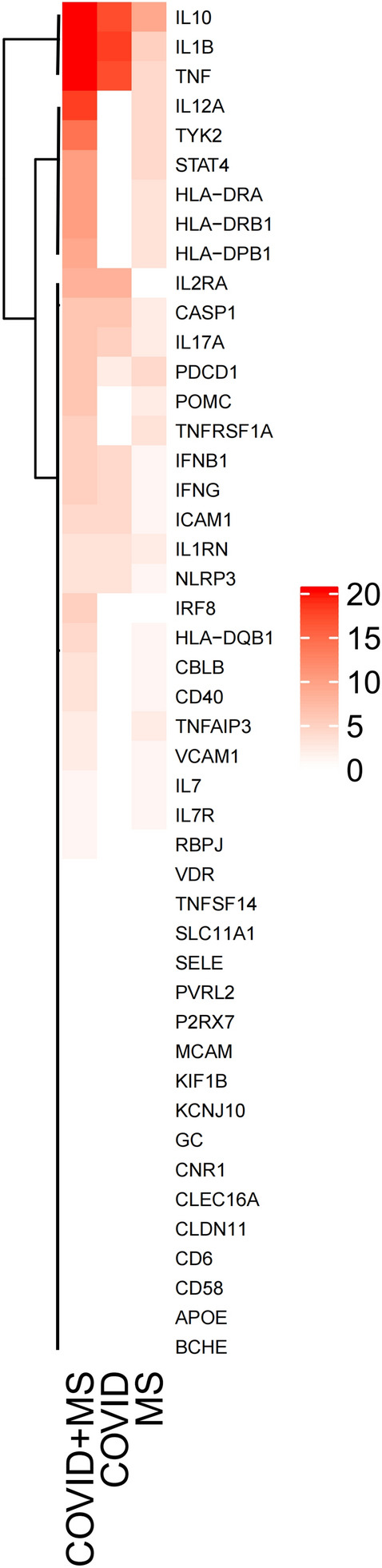 Fig. 4