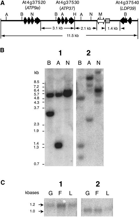 Figure 2.