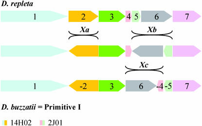 Figure 2.—