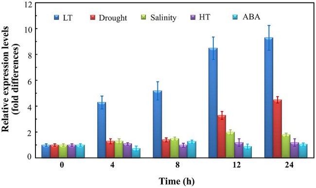 FIGURE 1