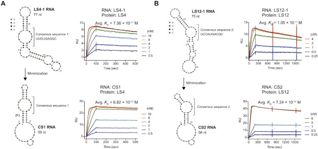 Figure 5.